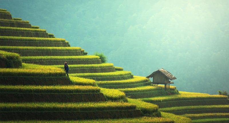 Strategies for sustainable company growth in 2025